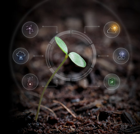 Young plant growth nurturing with water and digital technology icons agriculture seedlingの写真素材