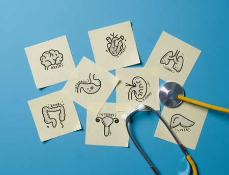 Full medical check-up all body organs concept.Complex health checkup of brain, heart, digestive system, lungs, bladder,kidney,liver,uterus and intestine.の写真素材