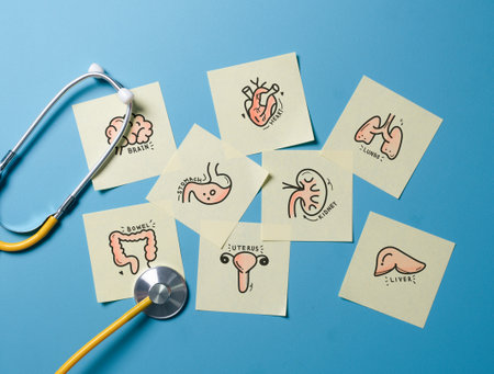 Full medical check-up all body organs concept.Complex health checkup of brain, heart, digestive system, lungs, bladder,kidney,liver,uterus and intestine.の写真素材
