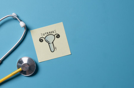 Doctor's Stethoscope Checking with uterus on blue background,Medical Concept,checkup all organs