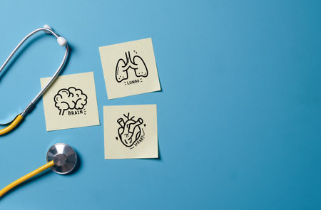 Doctor's Stethoscope Checking with heart,brain and lung on blue background,Medical Concept,checkup...
