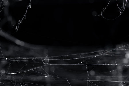 Halloween Spider Web,Creepy white cobweb on a dark background. space for textの写真素材