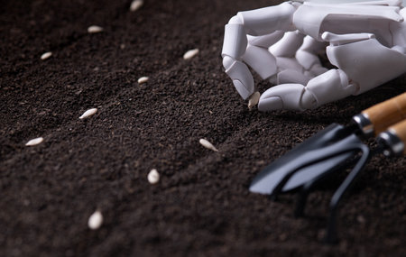 Precision Seeding: Close-Up of Robotic Hand Planting a Single Seed in Soilの写真素材