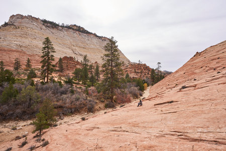 A female explorer sits on a rock embankment, viewing the nearby mountain in Zion National Parkの写真素材