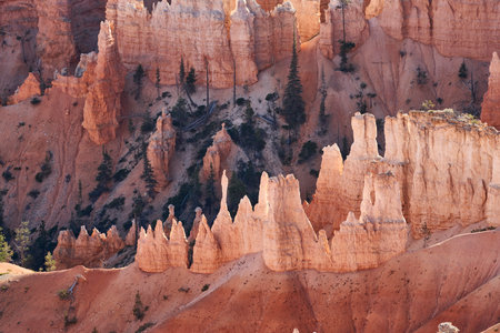 Unique rock formations called hoodos, beautifully glowing in the afternoon light.