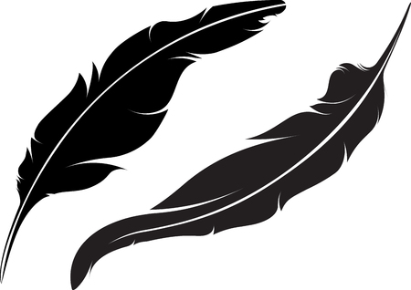 Pair of vector silhouette of feathersのイラスト素材