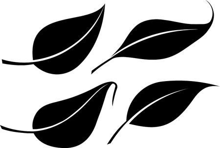 Set of four black leaves vector silhouettesのイラスト素材