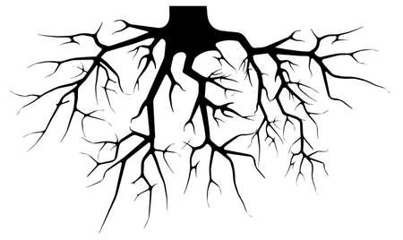 Root of tree. Black root system silhouette - vector illustration for your design.のイラスト素材
