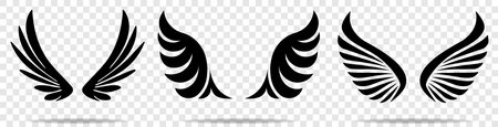 Set of three pairs of wings with shadow.のイラスト素材