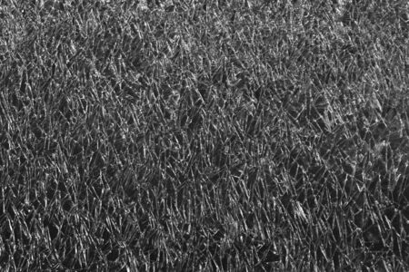 Background crystalsの写真素材