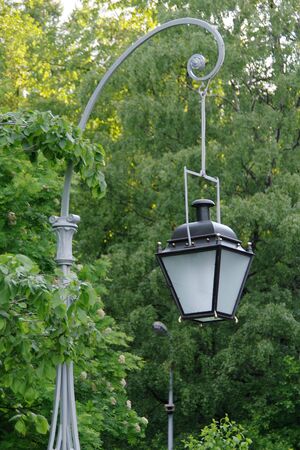 Street-lamp in front of the trees in the park on a sunny dayの写真素材
