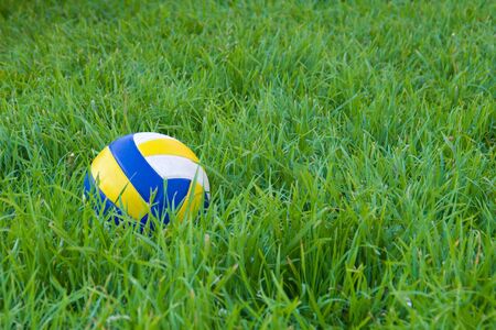 Multi-colour ball laying on green grassの写真素材