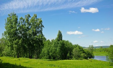 Midday summer rural landscape with foliage trees and a riverの写真素材