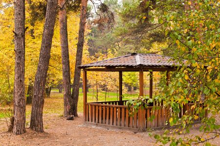 Wooden pavilion and various trees in the park at autumn horizontalの写真素材