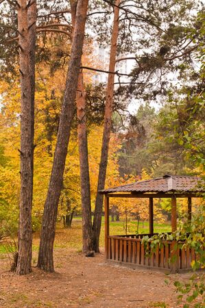 Wooden pavilion and various trees in the park at autumn verticalの写真素材