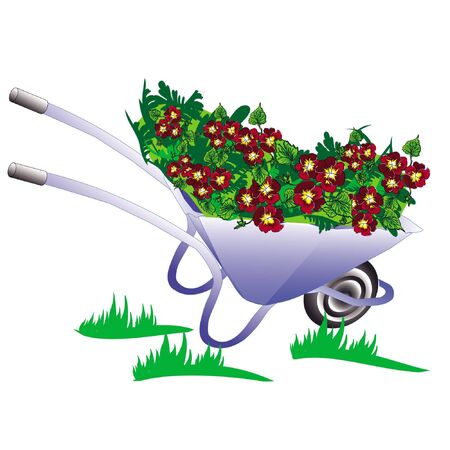 blue wheelbarrow, pushcart garden with flower pansyのイラスト素材