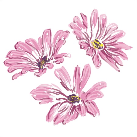 three rose daisywheels isolated on white background のイラスト素材