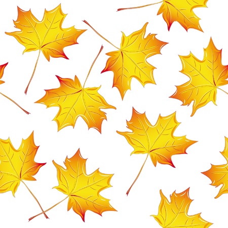 pattern maple leaf yellow, isolated on white background rasterのイラスト素材