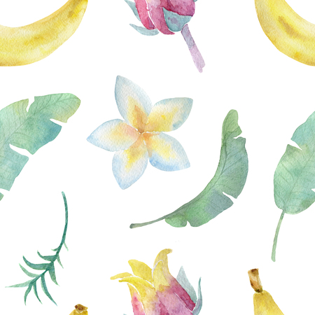 Watercolor plant pattern on a white background.の写真素材