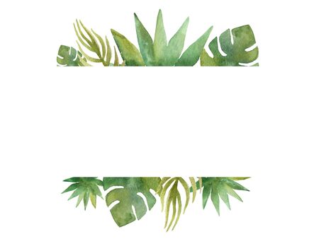 Watercolour banner with tropical plants on white background.の写真素材