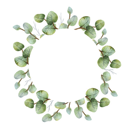Watercolour green eucalyptus card on white background. Spring or summer flowers for invitation, wedding or greeting cards.の写真素材