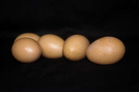Eggs on Black Background