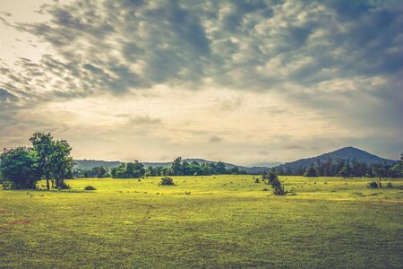 Beautiful Landscapeの写真素材