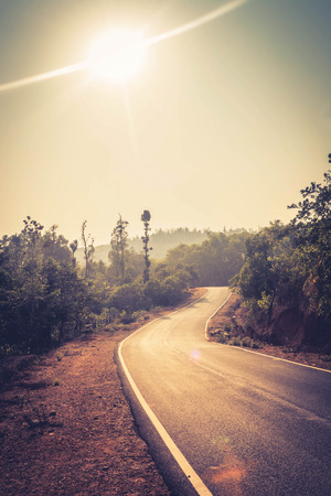 Country highway through the forestの写真素材