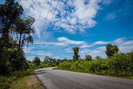 asphalt road through forestの写真素材