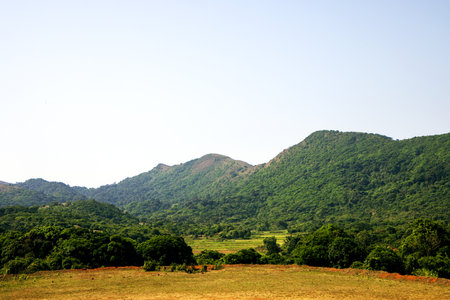 Mountain landscape in Madikeri, south India