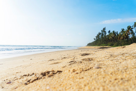 Beautiful tropical beach and sea landscape with coconut palm tree and blue sky