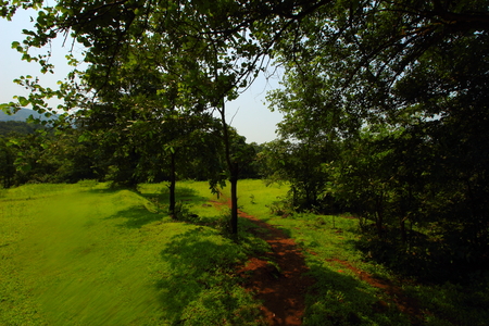 A hiking trail through the forests of the western ghats of Maharashtra, India en route Kokandiva.の写真素材
