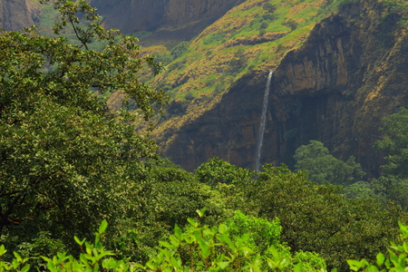 A distant waterfall falling off a rock face in the forests of the Western ghats of Maharashtra, India.の写真素材
