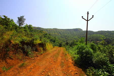 A jeep track through the forests of the Western ghats of Maharashtra, India on a clear day.の写真素材