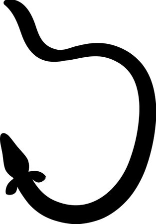 Eelのイラスト素材