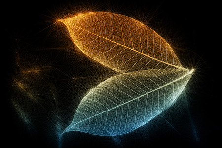 Illuminated sparkling skeletal leaves on a black crushed velvet background.    
の写真素材
