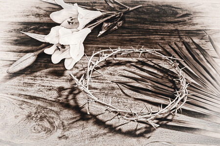 A sepia toned black and white image depicting Christian religious icons relating to Easter - the palm branch, the crown of thorns, and the white Lily.  Process for an aged vintage look. の写真素材