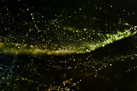 An abstract close up of water droplets on a spider web.の写真素材