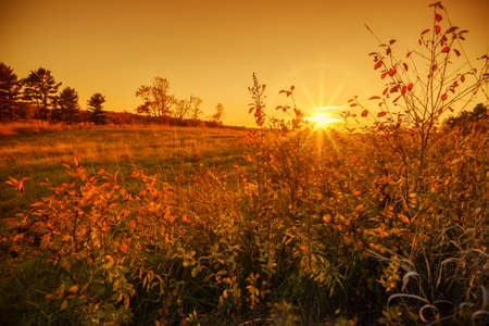 A sunset over a field.の写真素材