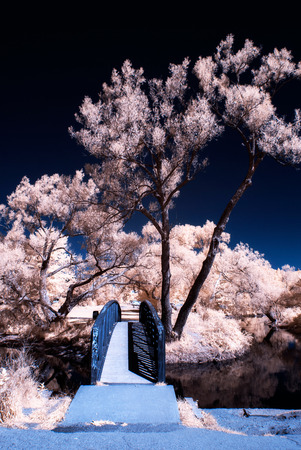 An infrared photo of a bridge over water in a park like setting.
の写真素材