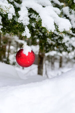 A red Christmas bulb decoration hanging off a spruce tree outside partially covered in snow.  Room for copy space.  の写真素材