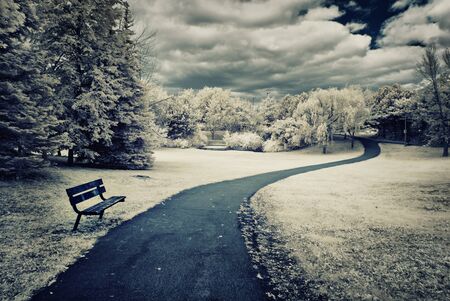 Photographed with a 665nm near infrared converted camera, of a lush park landscape setting with a...
