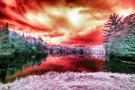 An infrared photo of an alien like landscape of a lake surrounded by trees with a blood red sky.の写真素材