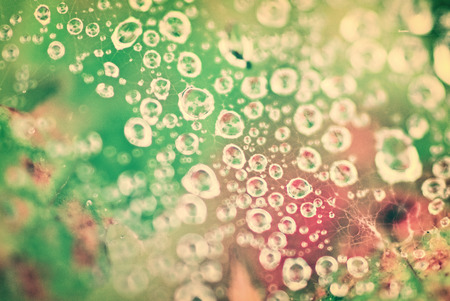 A close up of morning dew drops on a spider web.  Filtered to give vintage, faded look.