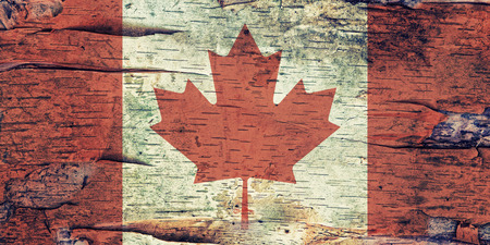 A Canada flag layered over birch bark texture.  Filtered for a retro, vintage look.の写真素材