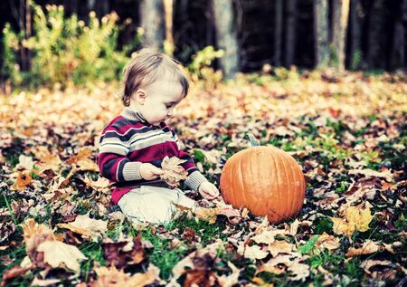 A boy sits beside a pumpkin outside looking down at the leaf covered ground in a forested landscape holding a maple leaf during the autumn season.  Filtered to give vintage, faded look.の写真素材