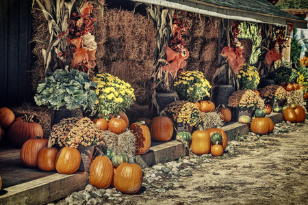 Autumn decor display at a farm composed of pumpkins, bales of hay, fall flowers and cornstalks.  Filtered for a retro, vintage look.の写真素材