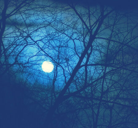 A full moon seen through a network of bare branches in a forest during a cloudy foggy evening. ...
