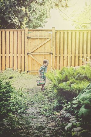 A boy holding a colorful basket looks for Easter eggs during an egg hunt outdoors in a garden in the...