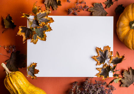 Flatly autumn, pumkins and autumn leaves and flowers whith place for textの写真素材